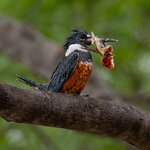 Photo taken by Matt W