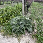 Photo taken by Shannon S