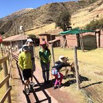 Vicuña at Santuario Animal de Cochahuasi | Photo taken by Elisa M