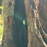 Photo taken by Mary E