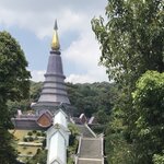 Photo taken by Shaula L