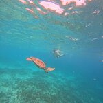 Photo taken by Mary S