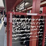 Photo taken by Natalie L