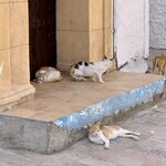 Photo taken by Cynthia F