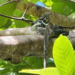 Photo taken by Blair H