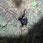 Photo taken by Chris G