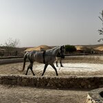 Photo taken by Victoria L