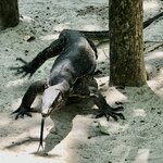 Photo taken by Shaula L