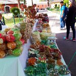 Photo taken by Daisy B