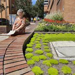 Photo taken by Peter F