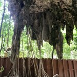 Photo taken by Shaula L