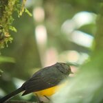 Photo taken by Ceinwen P