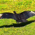 Photo taken by Dennis H