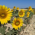 Photo taken by Lyon K