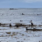 Photo taken by Yumi A