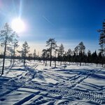 Photo taken by Bianca C