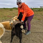 Dog sledding | Photo taken by Rena H