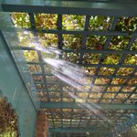 Photo taken by Lindsey B