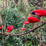 Photo taken by Ramnik B