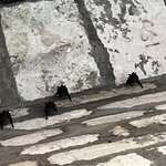 Photo taken by Cynthia C