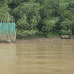 Photo taken by Ricky B