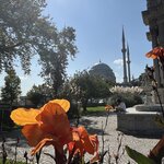 Photo taken by Michael E