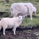 Photo taken by Cara W