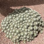 Photo taken by Louis U