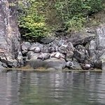 Photo taken by Mitzi F