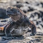 Photo taken by mindy n