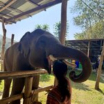 Photo taken by Bailey W