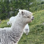 Photo taken by fred y