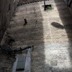 Photo taken by Lisa R