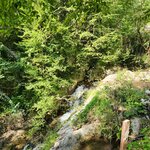 Photo taken by ELIZABETH S