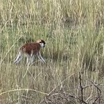 Photo taken by Michael L