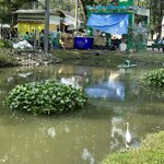 Photo taken by Fuad A