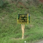 Photo taken by Karen P