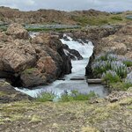 Photo taken by Deann M