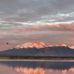 Photo taken by lynn o