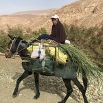 Photo taken by Leanne R