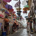 Photo taken by Collins M