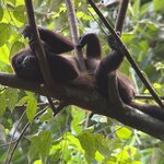 Photo taken by Ora Y