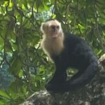 Photo taken by Erna P