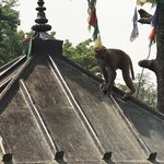 Photo taken by huberta m