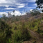 Photo taken by Linda M