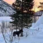 Photo taken by Christa C