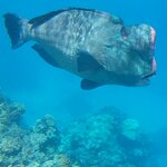 Photo taken by Scott L