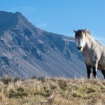 Photo taken by Erica B