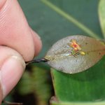 Photo taken by Graeme W