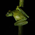 Photo taken by Brett F